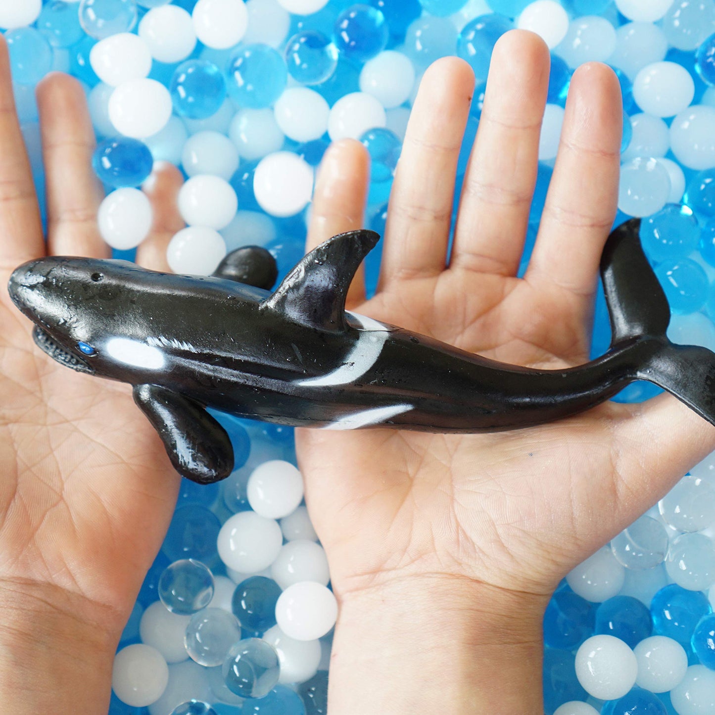 SENSORY4U Ocean Water Beads Swimming with Sharks Sensory Kit - Large Shark Toys Included - Dew Drops Offer Great Fine Motor Skills and Sensory Bin Kit for Kids