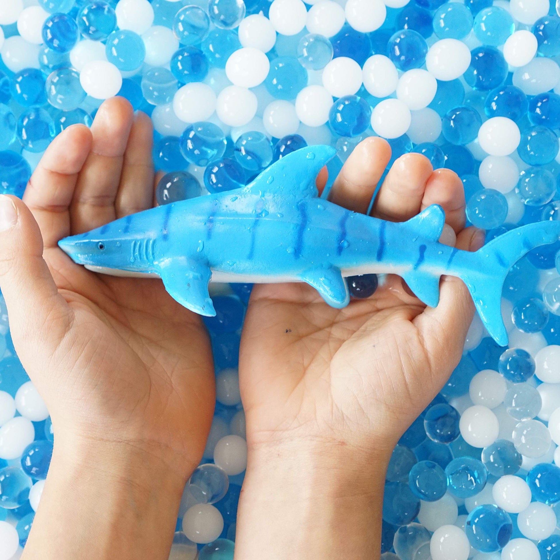 SENSORY4U Ocean Water Beads Swimming with Sharks Sensory Kit - Large Shark Toys Included - Dew Drops Offer Great Fine Motor Skills and Sensory Bin Kit for Kids
